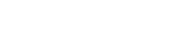 Ecosystem Partner